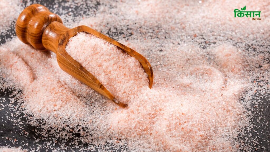 Kala Namak सोडियम में कम और पोटैशियम में अधिक होता है, जिससे यह हाई ब्लड प्रेशर वालों के लिए बेहतर विकल्प बन जाता है. यह नमक रक्तचाप को संतुलित करने में मदद करता है.