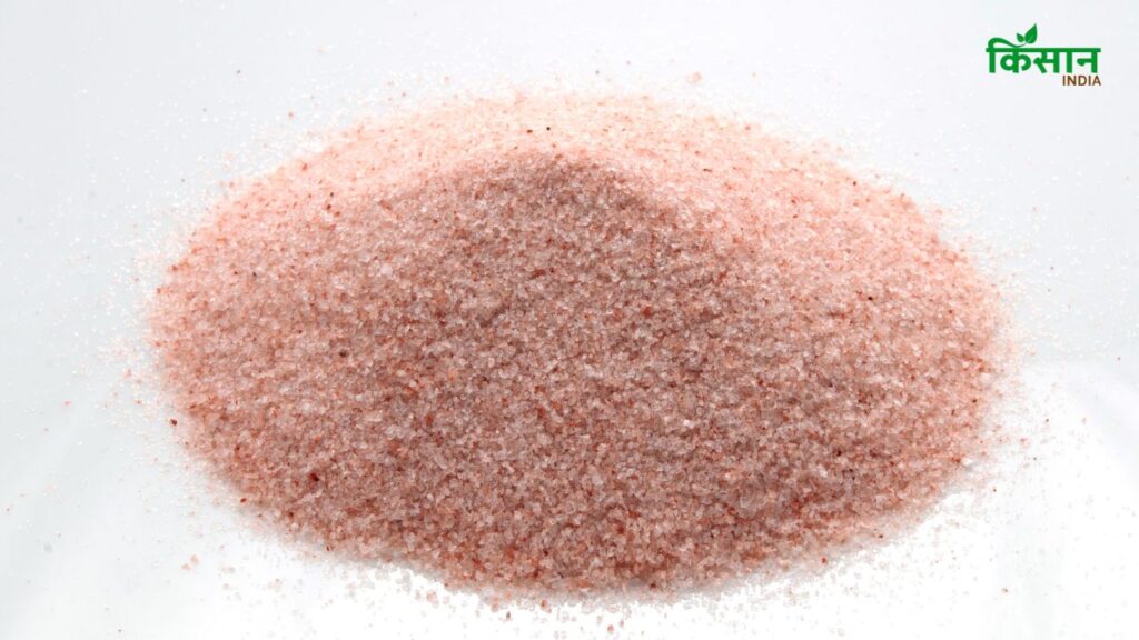 Kala Namak गैस, एसिडिटी या कब्ज जैसी पाचन संबंधी समस्याएं को दूर करने का एक बेहतरीन घरेलू उपाय माना जाता है. इसका सेवन भोजन में या छाछ/नींबू पानी के साथ किया जा सकता है.