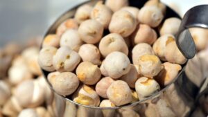 बंपर पैदावार दे रही ICAR की नई चना किस्म, बुवाई के लिए किसानों की बनी पसंद