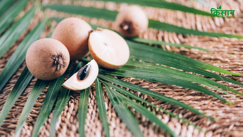 चीकू को जल्दी पकाने के लिए कई बार कैल्शियम कार्बाइड जैसे केमिकल्स का इस्तेमाल किया जाता है. ये केमिकल शरीर के लिए हानिकारक साबित हो सकते हैं जो कि लिवर, किडनी ओर नर्वस सिस्टम को प्रभावित कर सकते हैं.