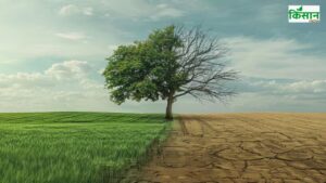 नई स्टडी में खुलासा, देश में 102 जिले क्लाइमेट चेंज से निपटने के लिए नहीं है तैयार