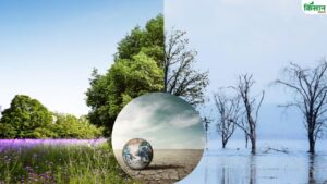 क्लाइमेट चेंज का खेती पर बुरा असर.. बढ़ते तापमान से घटा उत्पादन, एक्सपर्ट ने जताई चिंता