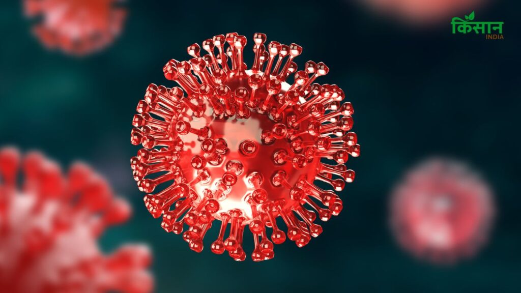 स्वास्थ्य मंत्रालय के अनुसार, दिल्ली में पिछले हफ्ते 104, केरल में 430 और महाराष्ट्र में 209 नए मामले सामने आए हैं. देशभर में फिलहाल कोविड-19 के 1,009 एक्टिव केस हैं, जो इस बात का संकेत है कि संक्रमण धीरे-धीरे फिर फैल रहा है. स्वास्थ्य मंत्रालय के अनुसार, दिल्ली में पिछले हफ्ते 104, केरल में 430 और महाराष्ट्र में 209 नए मामले सामने आए हैं. देशभर में फिलहाल कोविड-19 के 1,009 एक्टिव केस हैं, जो इस बात का संकेत है कि संक्रमण धीरे-धीरे फिर फैल रहा है.