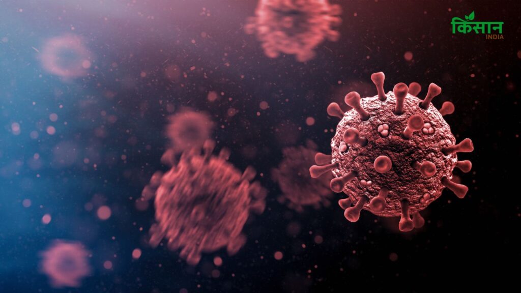 बिहार, पश्चिम बंगाल और झारखंड में भी कोविड के हल्के लेकिन नए केस आए हैं. सरकारें टेस्टिंग, कॉन्टैक्ट ट्रेसिंग और आइसोलेशन जैसे जरूरी कदम उठा रही हैं ताकि स्थिति नियंत्रण में रहे. बिहार, पश्चिम बंगाल और झारखंड में भी कोविड के हल्के लेकिन नए केस आए हैं. सरकारें टेस्टिंग, कॉन्टैक्ट ट्रेसिंग और आइसोलेशन जैसे जरूरी कदम उठा रही हैं ताकि स्थिति नियंत्रण में रहे.