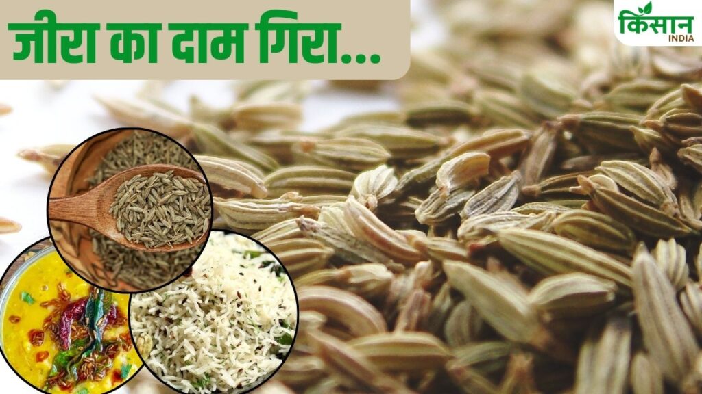 Spice Prices
