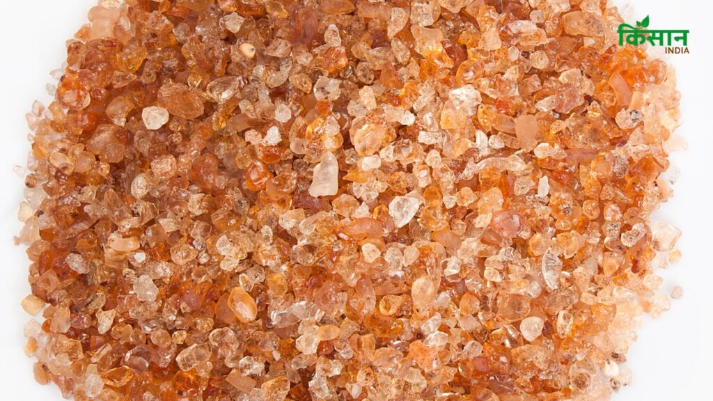 Gond का सेवन प्रसव के बाद महिलाओं को ताकत देने और हड्डियों को मजबूत बनाने में किया जाता है. दूसरी ओर, गोंद कतीरा इम्यूनिटी बढ़ाने, शरीर को ठंडक देने और गर्मी के प्रभाव से बचाने में मदद करता है.