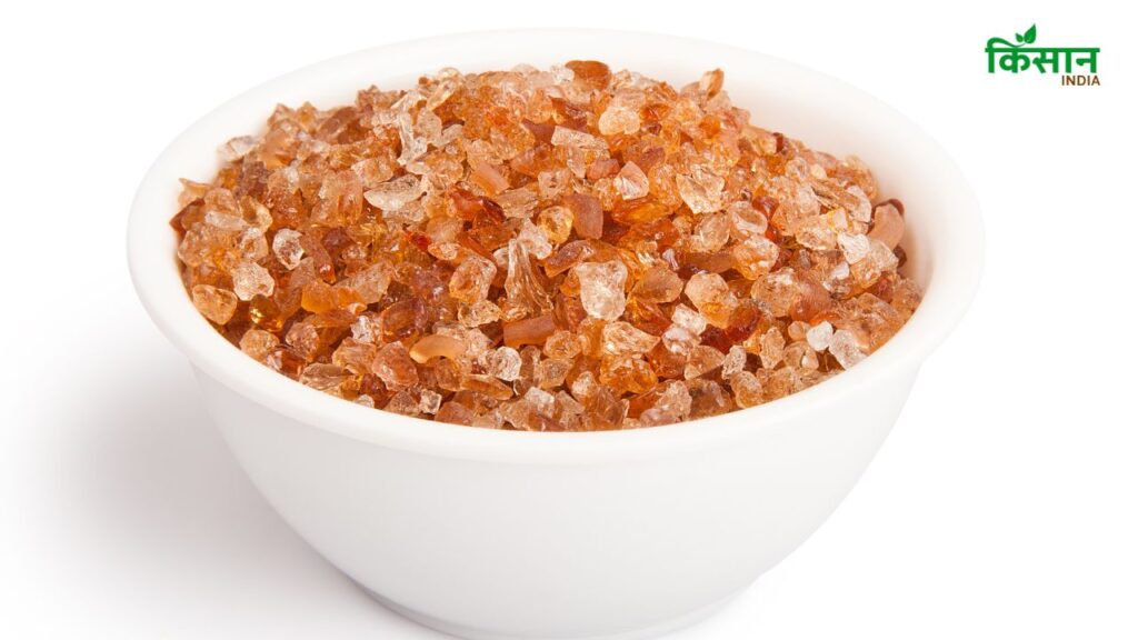 Gond को घी या तेल में तलकर पिन्नी, लड्डू या अन्य मिठाइयों में मिलाया जाता है. जबकि गोंद कतीरा को पानी या दूध में रातभर भिगोकर सुबह सेवन किया जाता है, जो जैली जैसी बनावट में बदल जाता है.