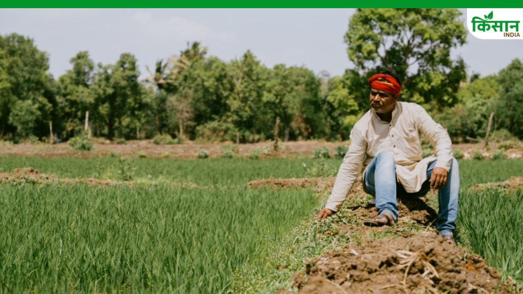 Haryana’s Organic Farming Area Falls to Four-Year Low Despite Government Push