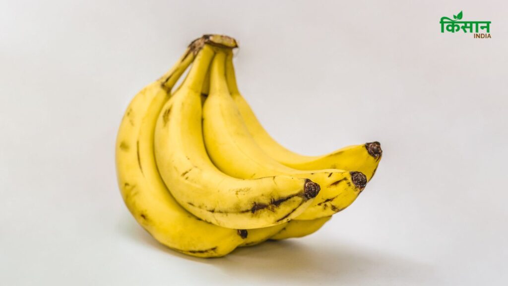 यदि केला कहीं से पका और कहीं से कच्चा दिखे, तो यह साफ इशारा है कि वह नेचुरल तरीके से नहीं पका. कार्बाइड से पके फल में यही असमानता दिखती है.