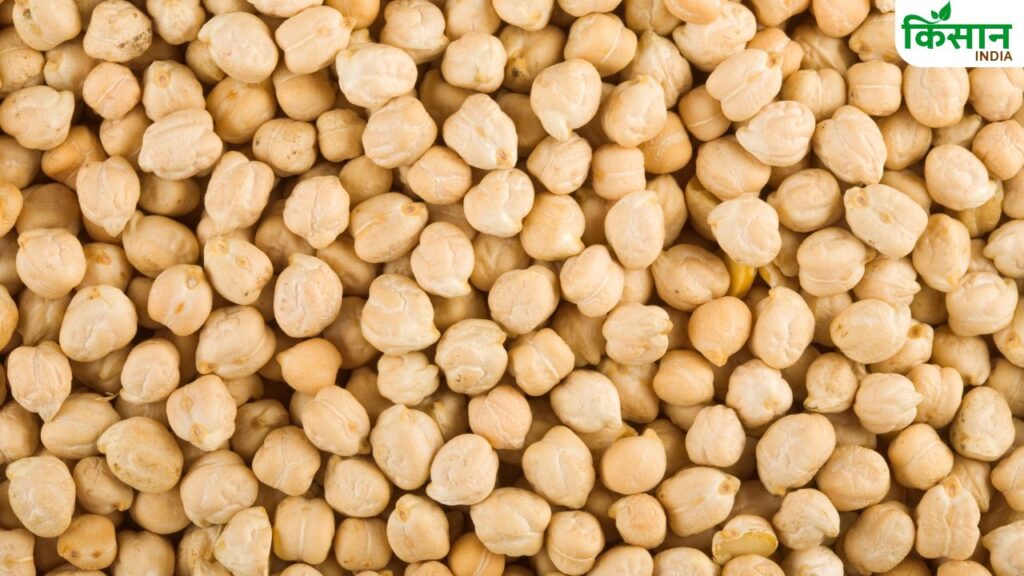 gram farming