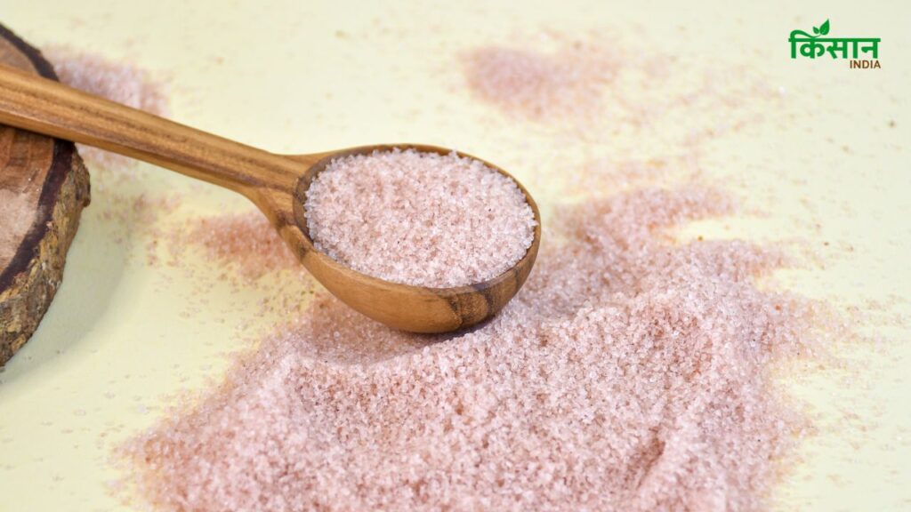 Kala Namak ना सिर्फ स्वाद में खट्टा और अलग होता है, बल्कि आयरन और पोटैशियम जैसे जरूरी खनिजों से भरपूर होता है. ये तत्व शरीर की कमजोरी और थकान को कम करने में मदद करते हैं. (Disclaimer: इस खबर में दी गई जानकारी केवल सामान्य ज्ञान पर आधारित है.)