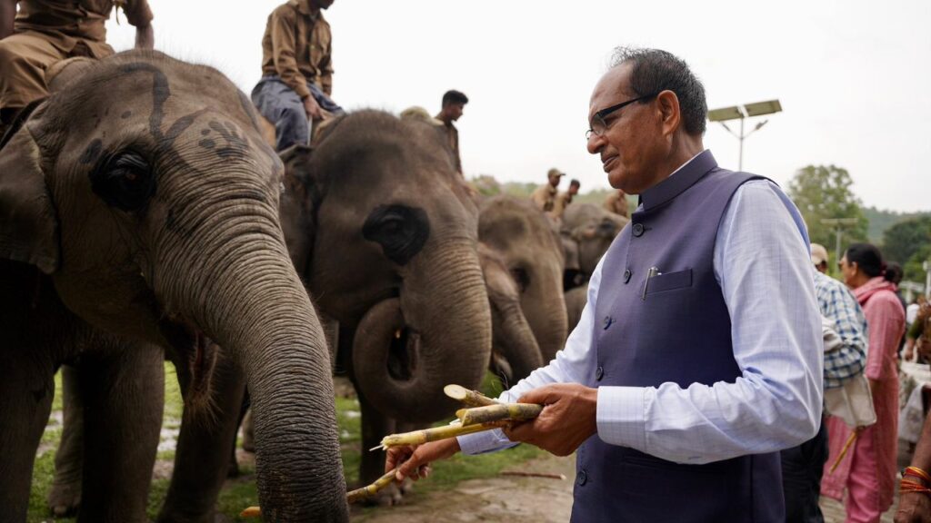 काजीरंगा नेशनल पार्क यूनेस्को द्वारा घोषित विश्व धरोहर स्थल है और यह एक सींग वाले गैंडों के लिए पूरी दुनिया में मशहूर है. यहां हाथी, बाघ, जंगली भैंसे, हिरण, पक्षियों की अनेक प्रजातियां और दुर्लभ वनस्पतियां भी पाई जाती हैं. काजीरंगा नेशनल पार्क यूनेस्को द्वारा घोषित विश्व धरोहर स्थल है और यह एक सींग वाले गैंडों के लिए पूरी दुनिया में मशहूर है. यहां हाथी, बाघ, जंगली भैंसे, हिरण, पक्षियों की अनेक प्रजातियां और दुर्लभ वनस्पतियां भी पाई जाती हैं.