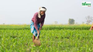 खरीफ सीजन 2025: बुवाई का आंकड़ा 1120 लाख हेक्टेयर पार, धान और मोटे अनाज में बढ़त