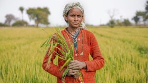 केंद्र ने ब्याज सब्सिडी योजना को दी मंजूरी, 7 करोड़ किसान क्रेडिट कार्ड धारकों को होगा फायदा