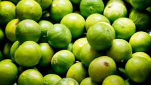 Mandi Bhav: लागत भी नहीं निकाल पा रहे हैं किसान, 200 रुपये मिल रहे 700 पीस नींबू