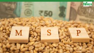 धान-कपास-मिर्च किसानों को नहीं मिल रहा MSP? नेताओं के बीच छिड़ी जुबानी जंग
