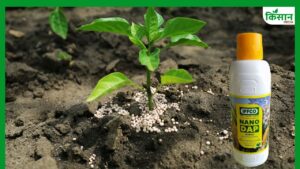 नैनो फर्टिलाइजर पर सरकार का बड़ा निर्णय जल्द, किसानों को नहीं थोपा जाएगा कोई उत्पाद