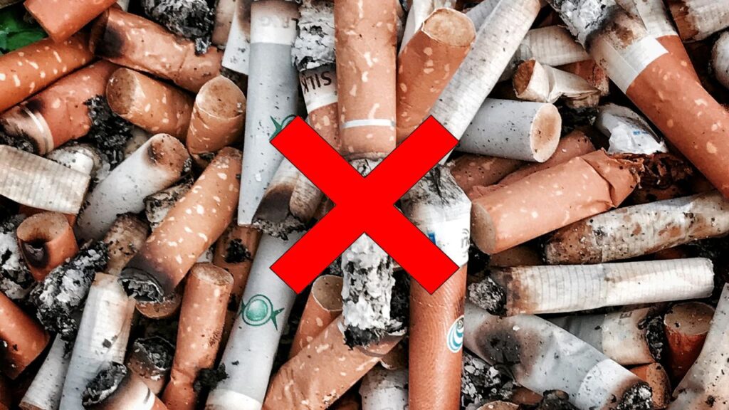 विश्व नो टॉबैको डे 2025 के मौके पर विशेषज्ञों ने चेतावनी दी कि वेपिंग धूम्रपान से कहीं ज्यादा खतरनाक है, खासकर युवाओं के लिए. भारत में इलेक्ट्रॉनिक सिगरेट्स और वेप्स पर 2019 में प्रतिबंध (PECA) लगाया गया है.