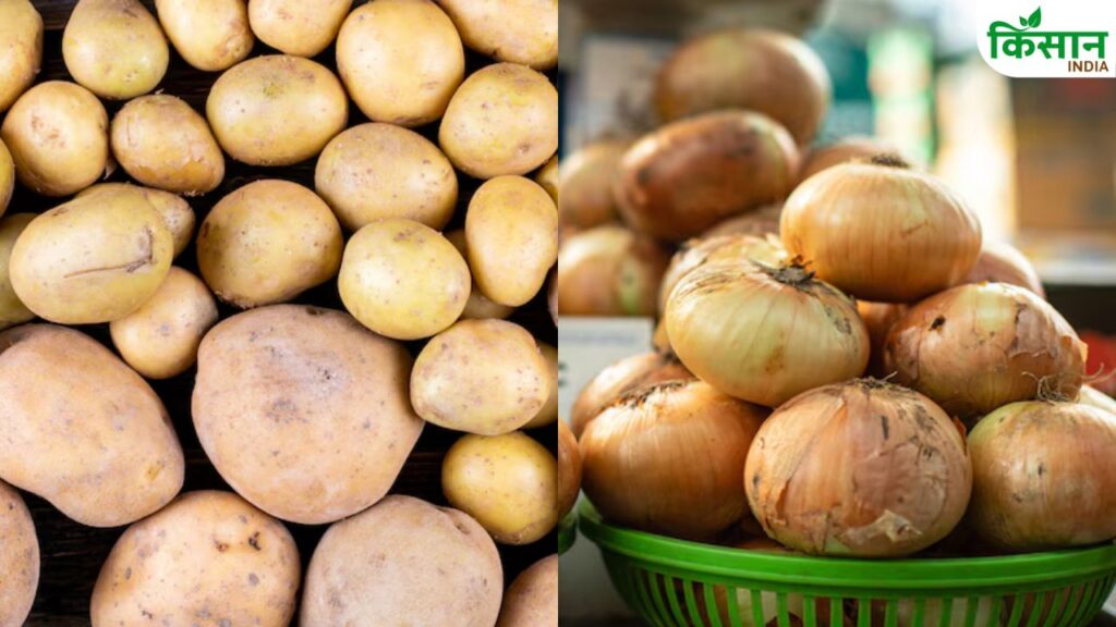 potato and onion price