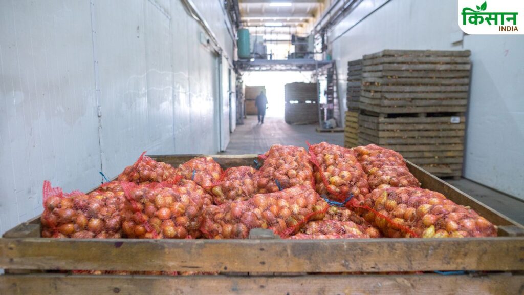 Onion prices expected to rise