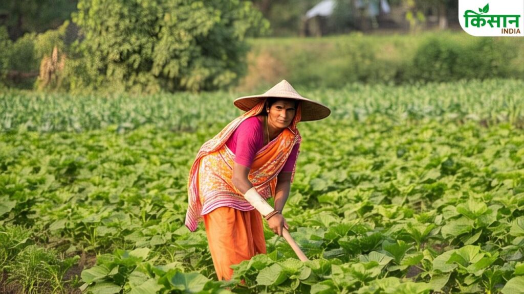 Fraud in PM Kisan