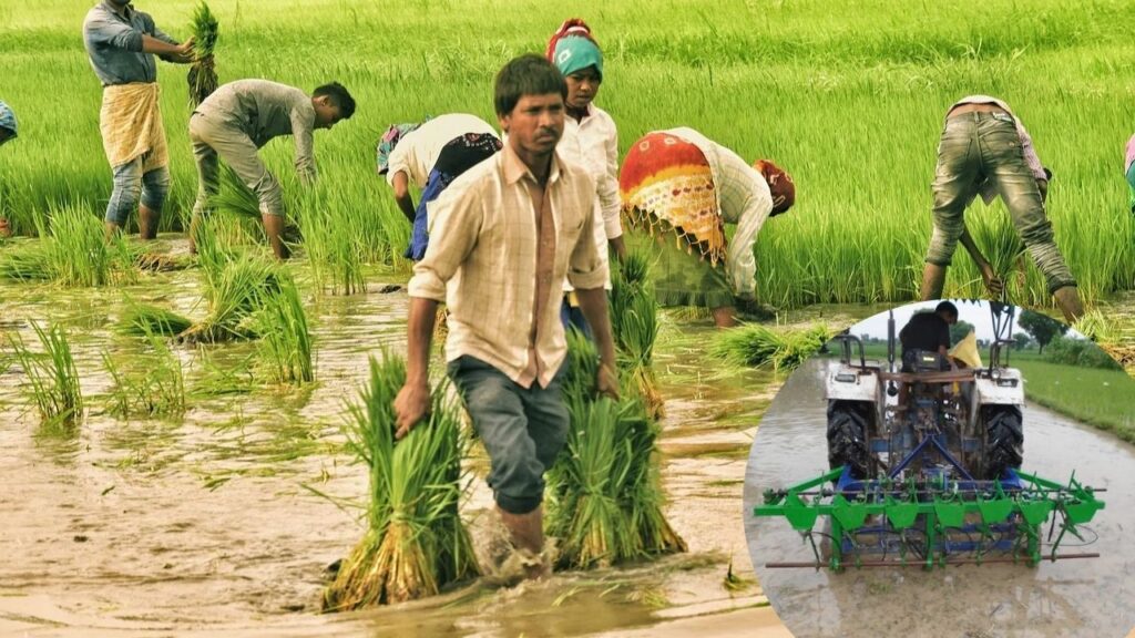 Paddy cultivation machine
