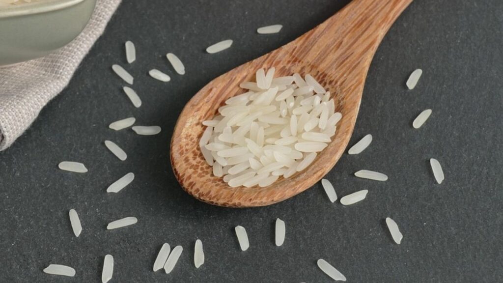 इसके पौधों में स्टोमाटा (पत्तियों के छिद्र) की संख्या कम कर दी गई है. इससे पानी का वाष्पीकरण कम होता है और पौधे में नमी लंबे समय तक बनी रहती है. यह किस्म सामान्य धान के मुकाबले ज्यादा टिलर्स (फूलों की शाखाएं) बनाती है और इसके पत्ते बड़े होने के साथ ज्यादा दाने देते हैं. इसके पौधों में स्टोमाटा (पत्तियों के छिद्र) की संख्या कम कर दी गई है. इससे पानी का वाष्पीकरण कम होता है और पौधे में नमी लंबे समय तक बनी रहती है. यह किस्म सामान्य धान के मुकाबले ज्यादा टिलर्स (फूलों की शाखाएं) बनाती है और इसके पत्ते बड़े होने के साथ ज्यादा दाने देते हैं.