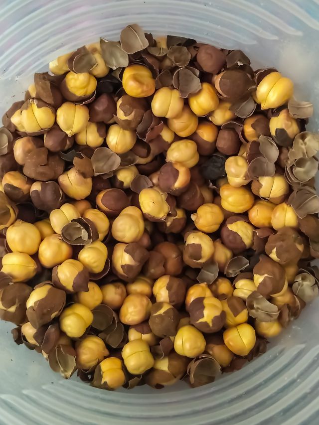 सर्दियों में इस तरह खाएं चना, ताकत के साथ मिलेगी इंस्टेंट एनर्जी!