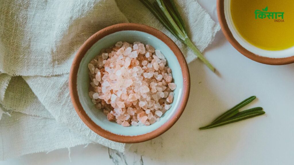 Sendha Namak का इस्तेमाल बार-बार खांसी, कफ या गला बैठने की समस्या को दूर कर सकता है. ये शरीर से विषैले तत्वों को बाहर निकालने का काम करता है. यह हाइड्रोस्कोपिक गुणों से भरपूर होता है, जो शरीर को डिटॉक्स करने में सहायक है.