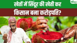 इस पौधे के फूल से बनता है सिंदूर, यूपी के किसान ने पहली बार खेती कर मोटा मुनाफा कमाया