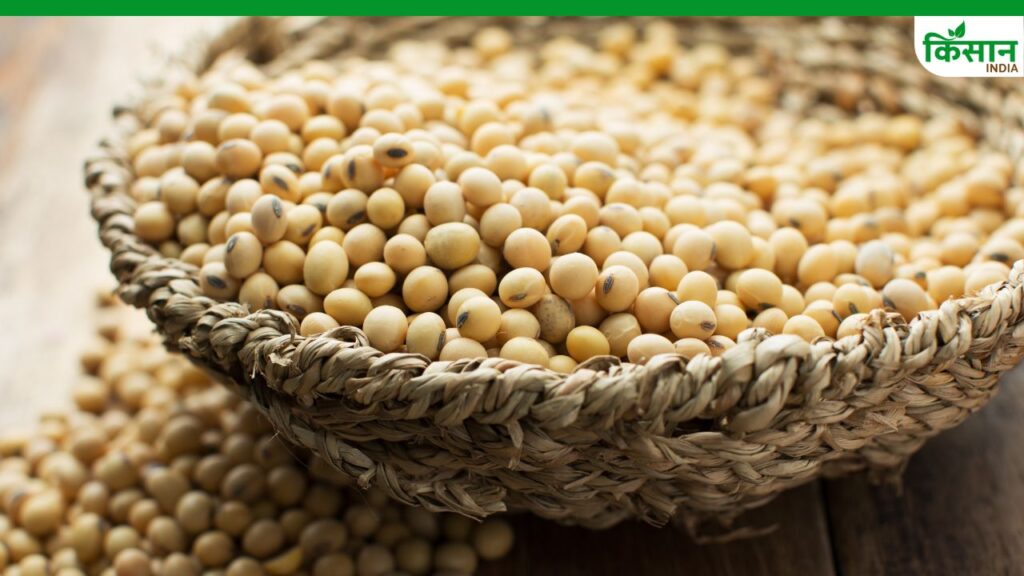 China Skips U.S. Soybean Orders Amid Peak Season, American Farmers Face Billions in Lost Sales