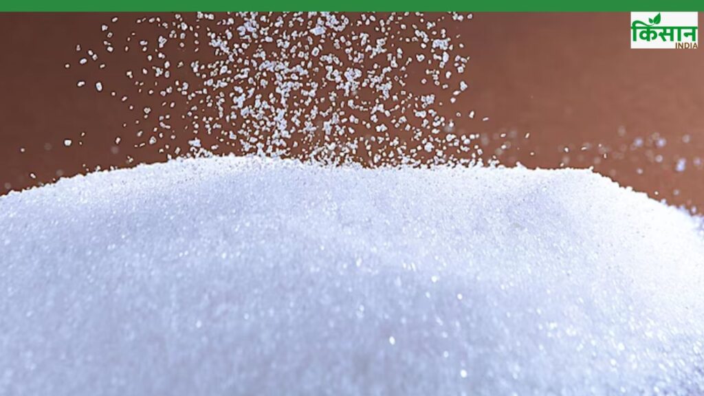 India’s Sugar Production to Rise 18% to 34.9 Million Tonnes in 2025-26: ISMA