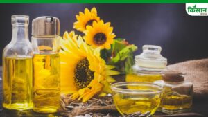क्रिसिल रिपोर्ट: वैश्विक तनाव से सूरजमुखी तेल हुआ महंगा, लोगों के लिए राइस ब्रान- सोयाबीन बने नए विकल्प क्रिसिल रिपोर्ट: वैश्विक तनाव से सूरजमुखी तेल हुआ महंगा, लोगों के लिए राइस ब्रान- सोयाबीन बने नए विकल्प
