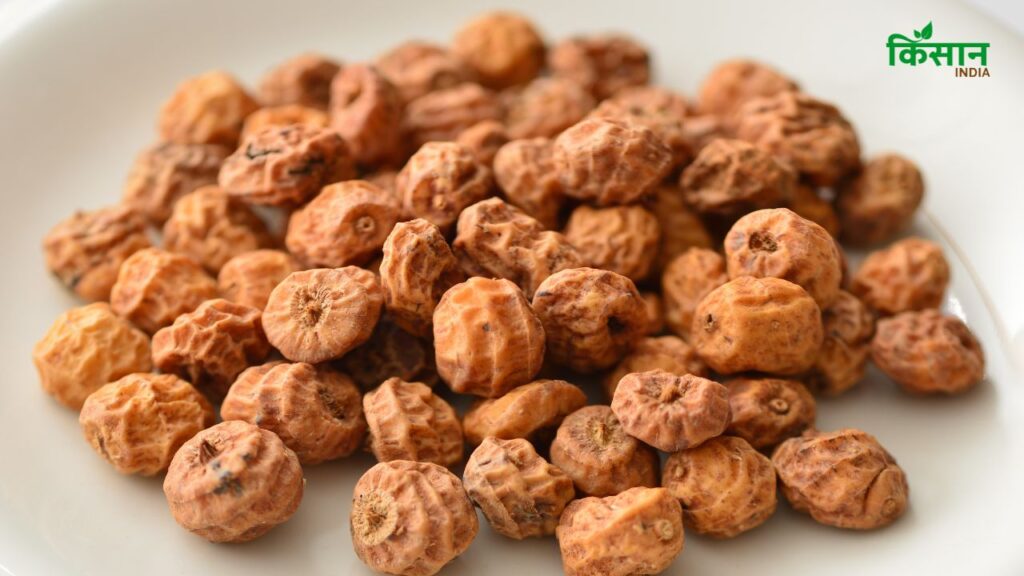 टाइगर नट्स लंबे समय तक पेट भरा हुआ महसूस कराते हैं, जिससे बार-बार खाने की इच्छा नहीं होती. इससे ओवरईटिंग पर नियंत्रण होता है और वजन घटाने में मदद मिलती है.