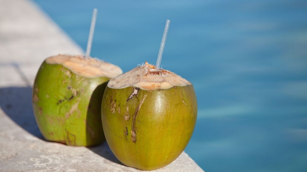 नारियल पानी शुगर लेवल को सीधे नहीं बढ़ाता लेकिन हर व्यक्ति की बॉडी अलग होती है. ऐसे में डायबिटीज के मरीजों को इसका सेवन डॉक्टर से पूछकर ही करना चाहिए. (Disclaimer: इस खबर में दी गई जानकारी केवल सामान्य ज्ञान पर आधारित है.)