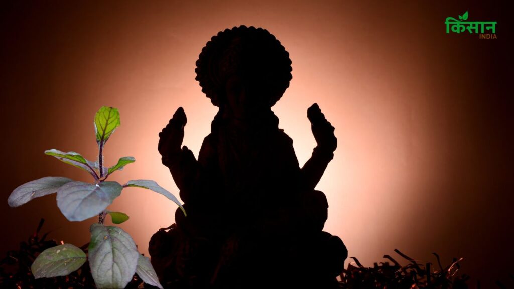 तुलसी का पौधा घर की नकारात्मक शक्तियों को दूर करने में बेहद प्रभावशाली होता है. इसे धार्मिक और आध्यात्मिक दृष्टिकोण से शुद्धता और सुरक्षा का प्रतीक माना गया है. तुलसी का पौधा घर की नकारात्मक शक्तियों को दूर करने में बेहद प्रभावशाली होता है. इसे धार्मिक और आध्यात्मिक दृष्टिकोण से शुद्धता और सुरक्षा का प्रतीक माना गया है.