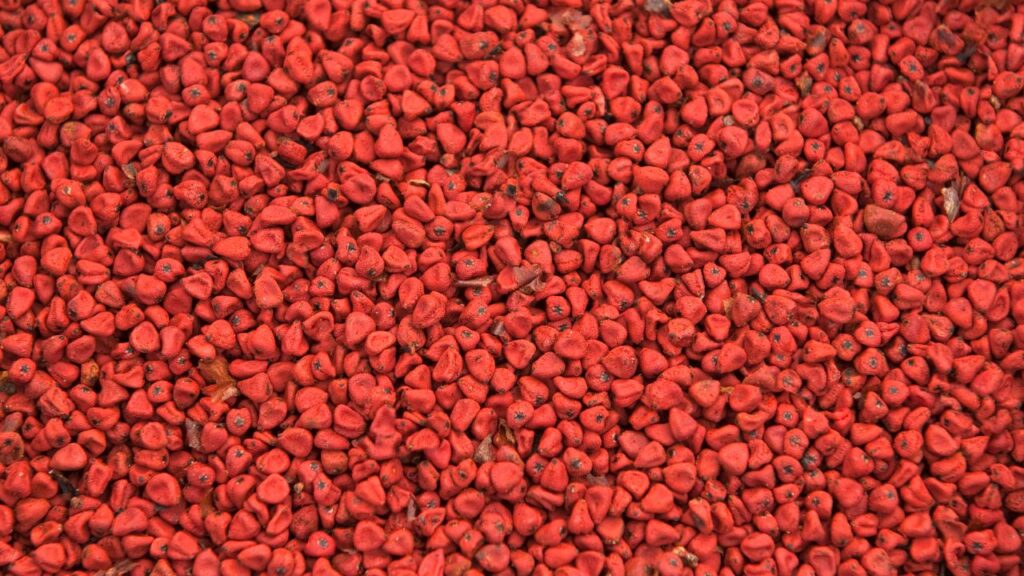 जब सिंदूर को त्वचा या बालों पर लगाया जाता है, तो यह हल्का लाल या नारंगी दिखाई देता है. इसका कारण है इसमें मौजूद बिक्सिन और नॉरबिक्सिन जैसे प्राकृतिक रंगद्रव्य, जो नमी और तापमान के अनुसार अपना रंग थोड़ा बदल सकते हैं.