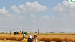 बॉर्डर इलाके के किसानों को बड़ी राहत, अब 21300 एकड़ जमीन पर आसानी से कर पाएंगे खेती.. मिली सहमति