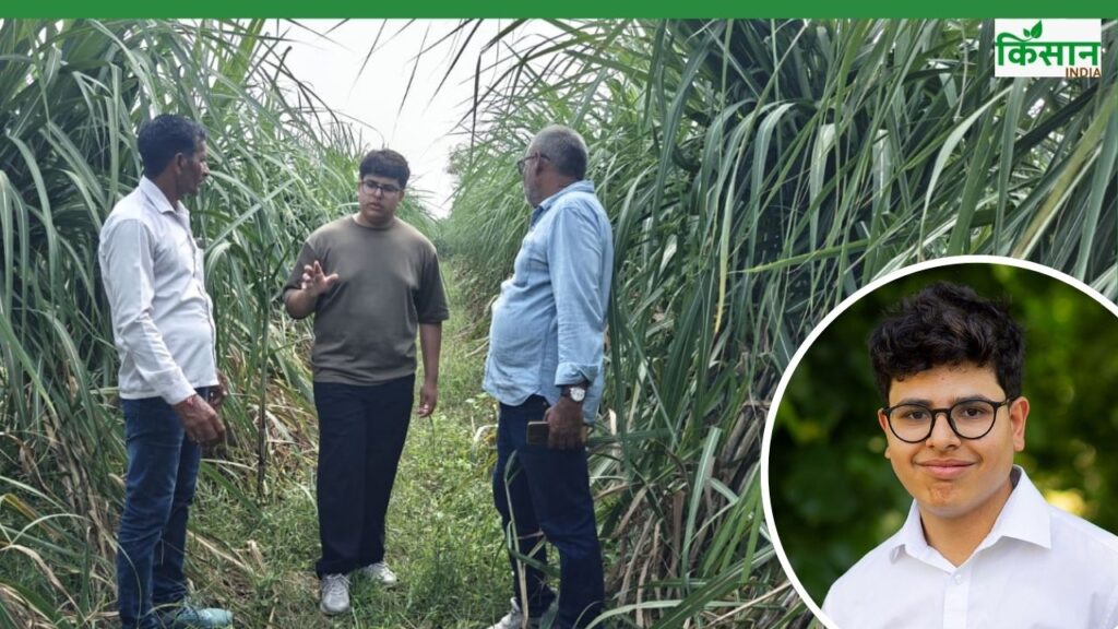 Yash Sawhney 101 project for Sugarcane Farming