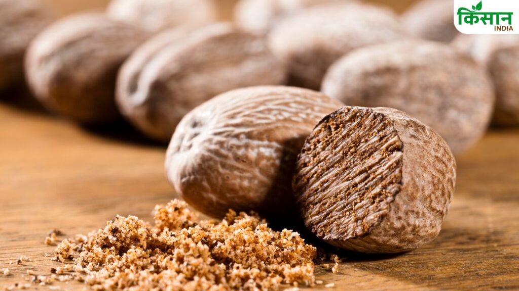 Nutmeg market rate