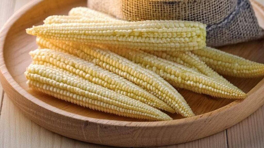 Baby Corn Farming: A Profitable Short-Duration Crop That Can Boost Farmers’ Income Easily