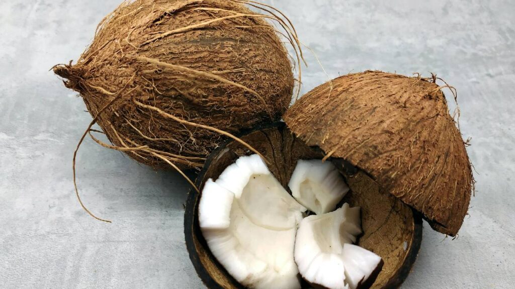 India’s Coconut Board Plans Big Moves to Stabilize Prices and Protect Farmers’ Income