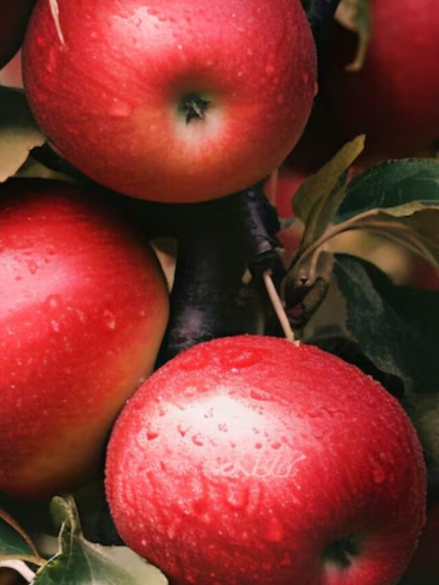 खाली पेट सेब खाने के हैं कई फायदे, इन रोगों से मिलेगी राहत!