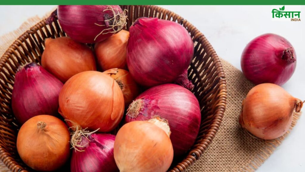 onion crop destroyed