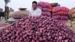 अब प्याज किसानों की आंखों से नहीं निकालेंगे आंसू.. महाराष्ट्र सरकार ने समिति का किया गठन अब प्याज किसानों की आंखों से नहीं निकालेंगे आंसू.. महाराष्ट्र सरकार ने समिति का किया गठन