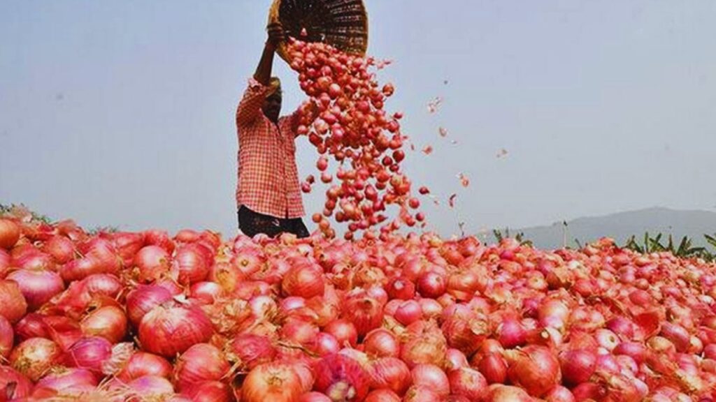 Onion price fall