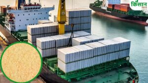 महाराष्ट्र ने 47017 करोड़ रुपये का किया खाद्य निर्यात, जानें किन फसलों से हुई अधिक कमाई