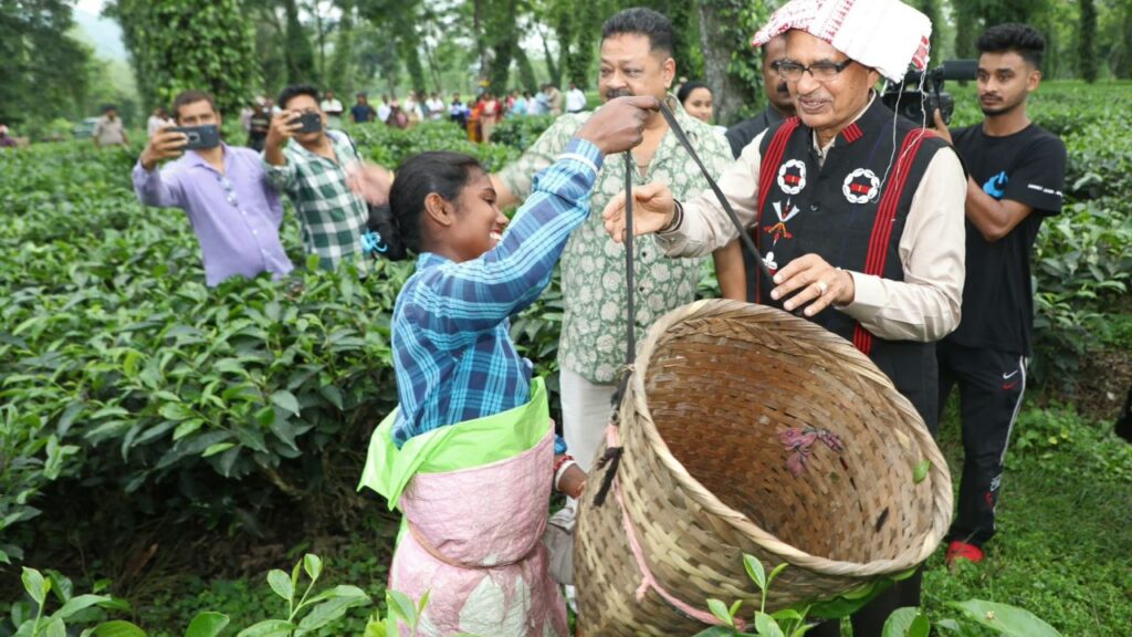 अकसर जब हम घर या ऑफिस में चाय का प्याला उठाते हैं, तो उसकी खुशबू और स्वाद की तारीफ करते हैं, लेकिन शायद ही हमें अहसास होता है कि उस चाय की हर पत्ती के पीछे कितनी मेहनत छुपी है. शिवराज सिंह चौहान का यह दौरा हमें यही याद दिलाता है कि चाय की खुशबू सिर्फ बागानों की मिट्टी से नहीं, बल्कि उन हाथों से आती है जो उसे दिन-रात सींचते हैं. अकसर जब हम घर या ऑफिस में चाय का प्याला उठाते हैं, तो उसकी खुशबू और स्वाद की तारीफ करते हैं, लेकिन शायद ही हमें अहसास होता है कि उस चाय की हर पत्ती के पीछे कितनी मेहनत छुपी है. शिवराज सिंह चौहान का यह दौरा हमें यही याद दिलाता है कि चाय की खुशबू सिर्फ बागानों की मिट्टी से नहीं, बल्कि उन हाथों से आती है जो उसे दिन-रात सींचते हैं.