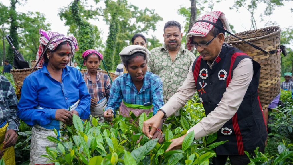 चाय बागान में काम कर रहीं महिलाओं के साथ बातचीत करते हुए उन्होंने यह भी भरोसा दिलाया कि वे इनके जीवन की स्थिरता और आर्थिक सशक्तिकरण के लिए हरसंभव प्रयास करेंगे. शिवराज सिंह ने कहा कि इन श्रमिक बहनों की भूमिका न केवल चाय के उत्पादन तक सीमित है, बल्कि वे भारत की आर्थिक और सामाजिक मजबूती की भी अहम कड़ी भी हैं. चाय बागान में काम कर रहीं महिलाओं के साथ बातचीत करते हुए उन्होंने यह भी भरोसा दिलाया कि वे इनके जीवन की स्थिरता और आर्थिक सशक्तिकरण के लिए हरसंभव प्रयास करेंगे. शिवराज सिंह ने कहा कि इन श्रमिक बहनों की भूमिका न केवल चाय के उत्पादन तक सीमित है, बल्कि वे भारत की आर्थिक और सामाजिक मजबूती की भी अहम कड़ी भी हैं.