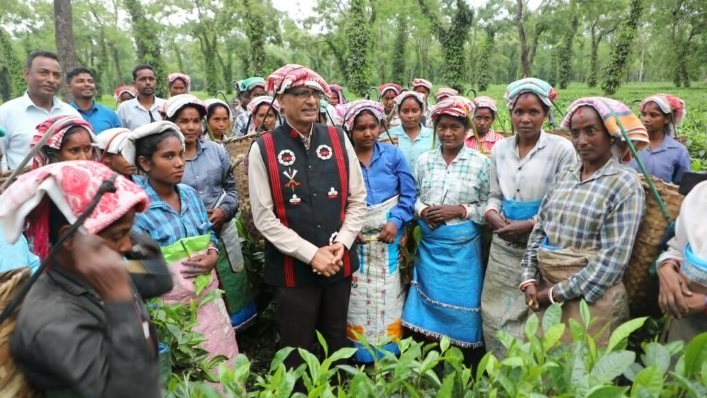 शिवराज सिंह चौहान ने न सिर्फ चाय बागानों की सुंदरता का आनंद लिया, बल्कि वहां काम कर रहीं महिलाओं के बीच पहुंचकर उनके कार्य को करीब से देखा और समझा इसके साथ ही उन्होंने खुद भी कुछ समय तक चाय की पत्तियों को तोड़ने का काम किया और अनुभव किया कि चाय की हर एक पत्ती कितने धैर्य, और परिश्रम से तैयार की जाती है. शिवराज सिंह चौहान ने न सिर्फ चाय बागानों की सुंदरता का आनंद लिया, बल्कि वहां काम कर रहीं महिलाओं के बीच पहुंचकर उनके कार्य को करीब से देखा और समझा इसके साथ ही उन्होंने खुद भी कुछ समय तक चाय की पत्तियों को तोड़ने का काम किया और अनुभव किया कि चाय की हर एक पत्ती कितने धैर्य, और परिश्रम से तैयार की जाती है.